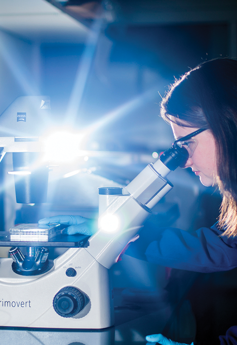 Chemical Engineering Plus One