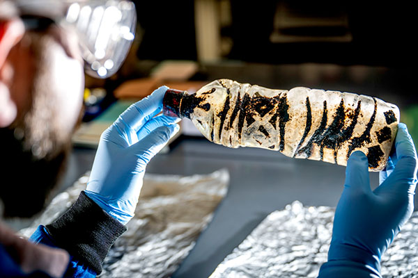 A Link Across the Ocean Using Biomarkers in Oil