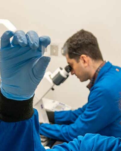 student using microscope