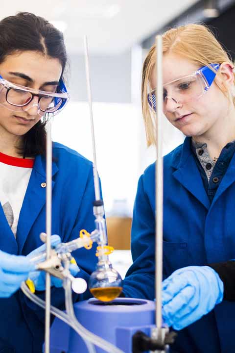 students working in lab