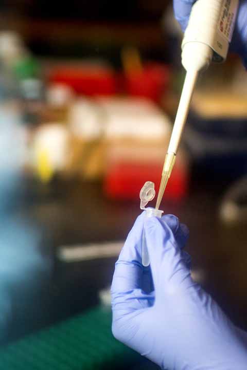 hand working in lab