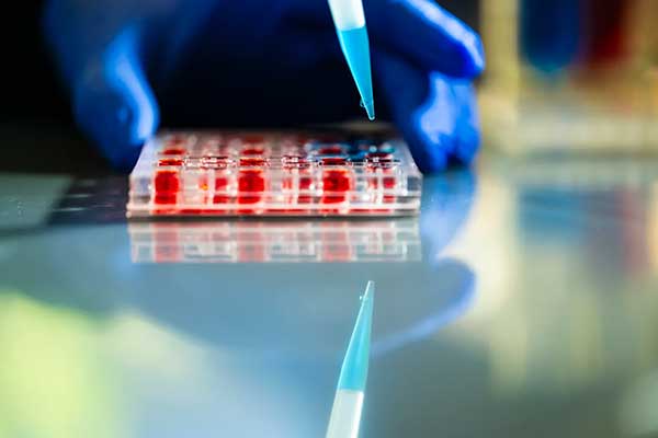 Image for New Research Develops Method to Repair Nerves from Nasal Stem Cells